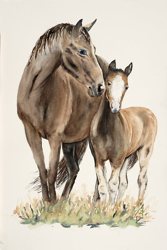 Horse Mother & Child 28 x42cm Signed Print