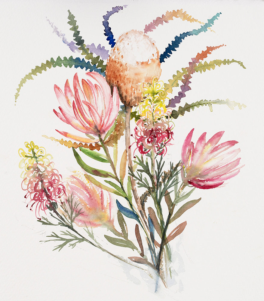 Grevilia & Protea 28 x 42cm Signed Print