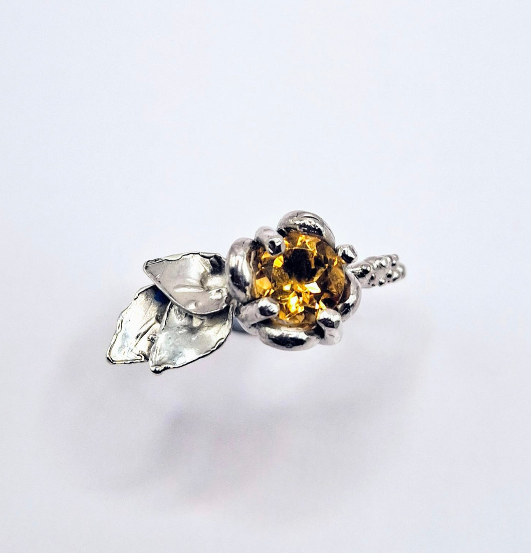 Citrine Beauty