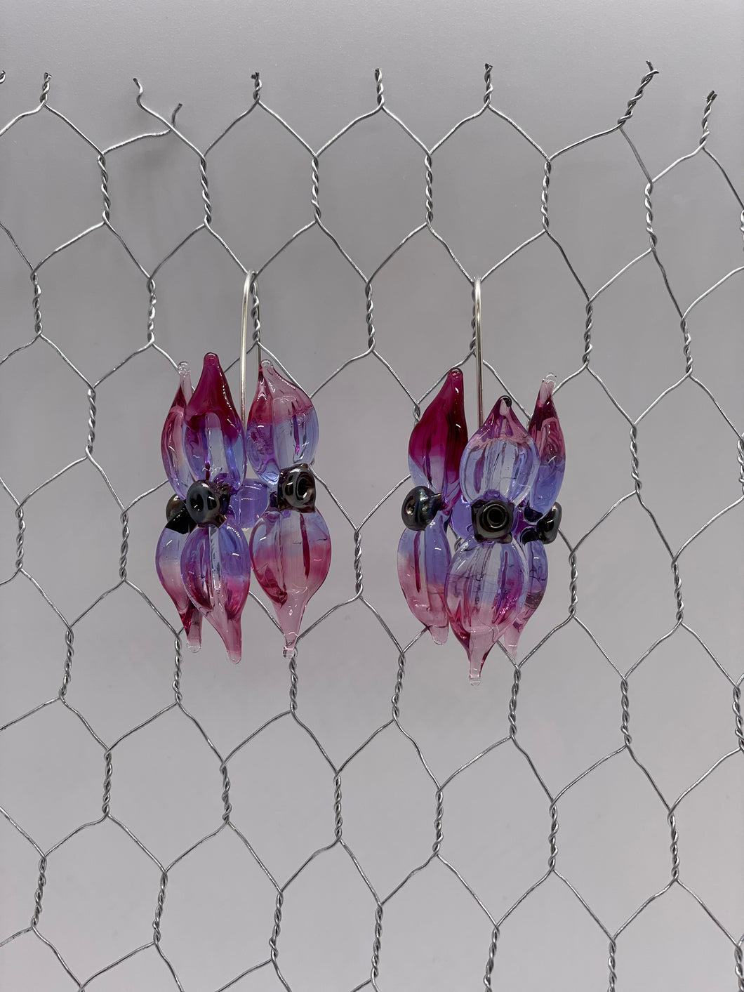 Violet with Raspberry Tip & Silver Sturt's Desert Pea Glass Earrings